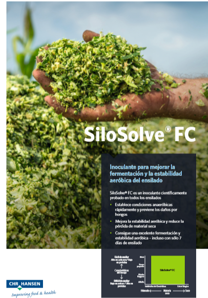 SiloSolve FC